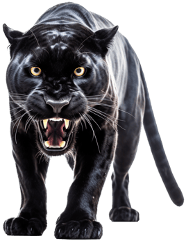 Panther with . png