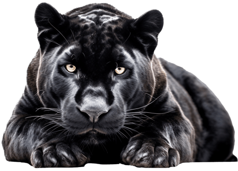 Panther with . png