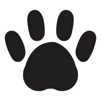 Dog or cat paw icon png