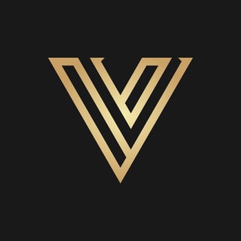 V letter logo design vector