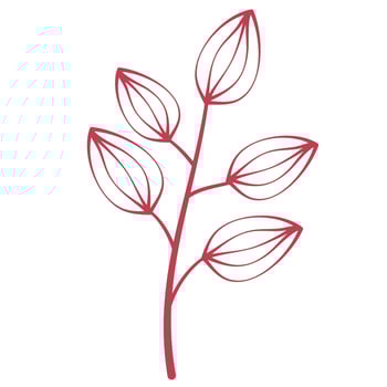 autumn leaves elements vector