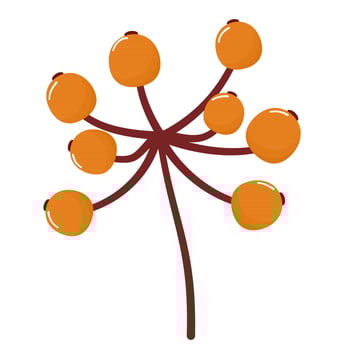 autumn leaves elements vector
