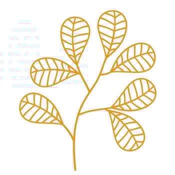 autumn leaves elements vector