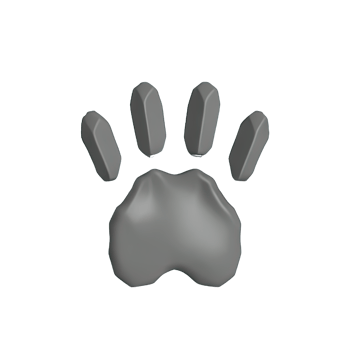 3d pet paw png