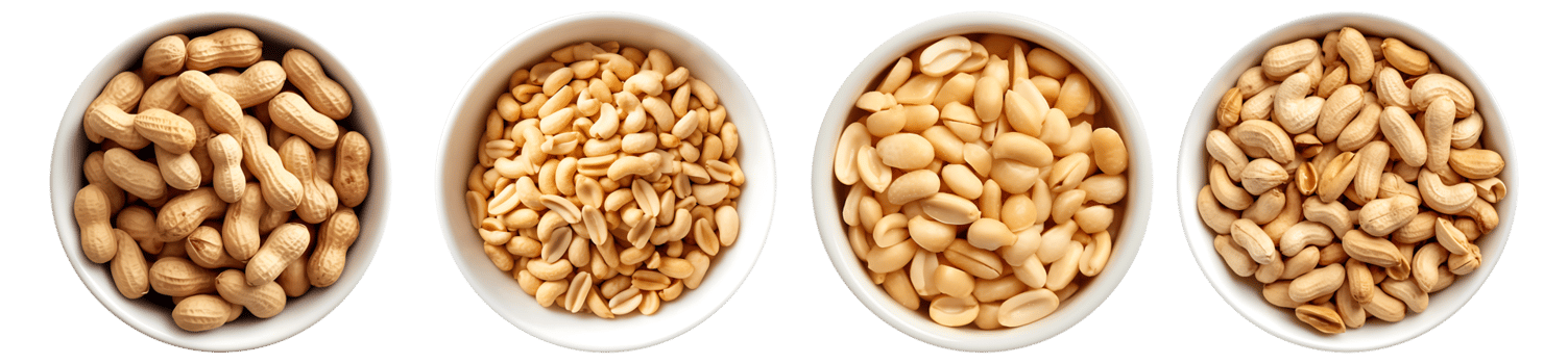 Peanut on white bowl, aerial view with transparent background, Technology png