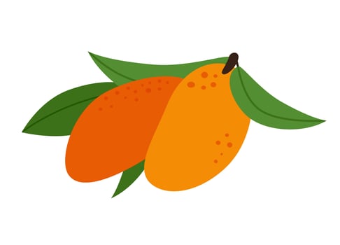 Two Mango with leaves exotic fruit vegetarian food icon vector