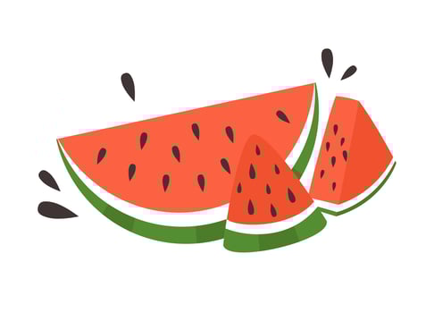 Watermelon Tropical fruit vegetarian food icon vector