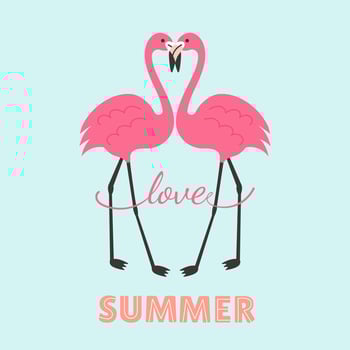 Summer Flamingo couple lovers, lettering slogan composition vector