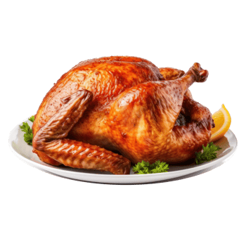 Thanksgiving turkey isolated. Illustration png
