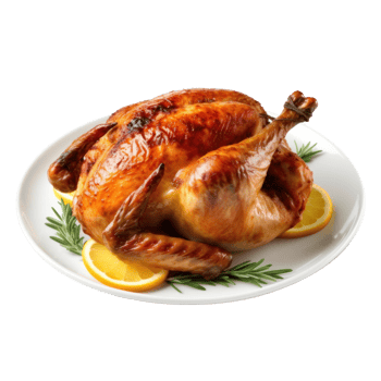 Thanksgiving turkey isolated. Illustration png