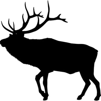 Elk Black Silhouette vector