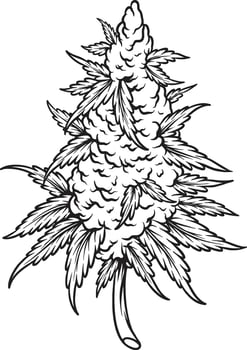 Weed sativa hemp leaf plant botanical logo illustrations monochrome vector illustrations for your work logo, merchandise t-shirt, stickers and label designs, poster, greeting cards advertising