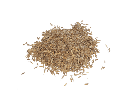 Cumin seeds isolated png