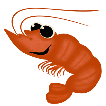 cute shrimp cartoon png