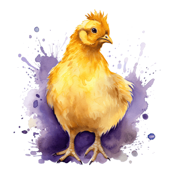 Cute watercolor yellow chicken. Illustration png