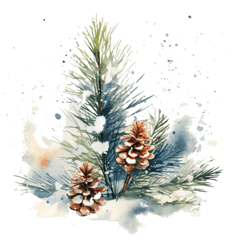 Snowy winter watercolor christmas pine branch Illustration png
