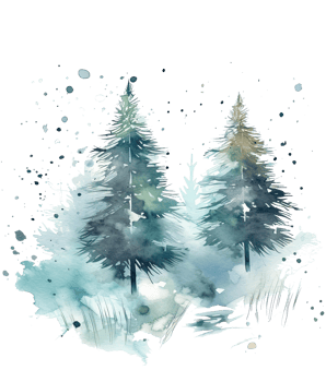 Christmas watercolor with fir trees foliage. Illustration png