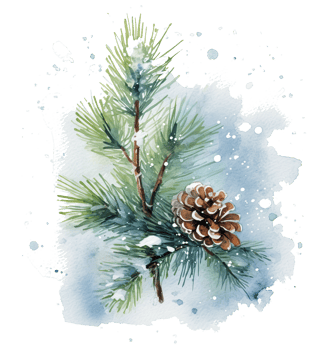 Snowy winter watercolor christmas pine branch Illustration png