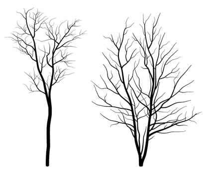 Set of Deciduous Bare Tree Silhouette vector