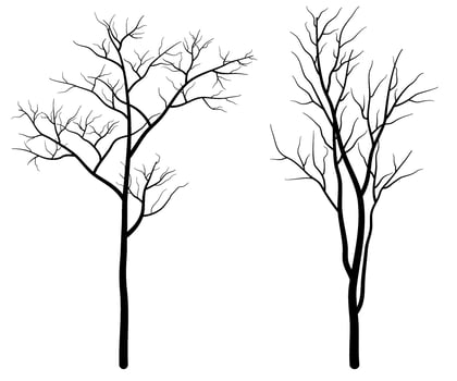 Set of Deciduous Bare Tree Silhouette vector
