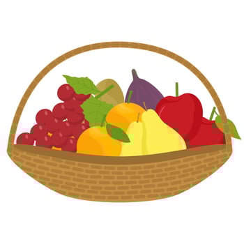 Fruit Basket Illustration with Various Tropical Fruits vector