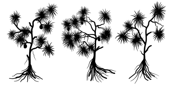 Pandanus tectorius Commonly Called Screw Pine, Tropical Tree Silhouette vector