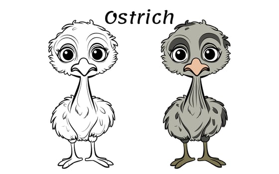 Cute Ostrich Animal Coloring Book Illustration vector