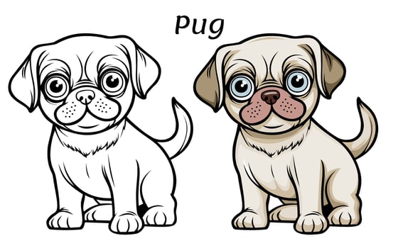 Cute Pug Dog Animal Coloring Book Illustration vector