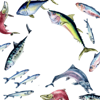Frame of various fresh sea fish watercolor illustration. Wild fish, tuna, salmon, herring, anchovy hand drawn. Design element for cookbook, signboard, menu, market, packaging. png