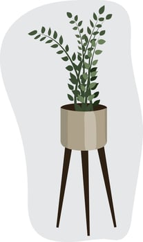 Indoor plant. Flower in a tall vase in the Scandinavian style. High quality vector illustration.