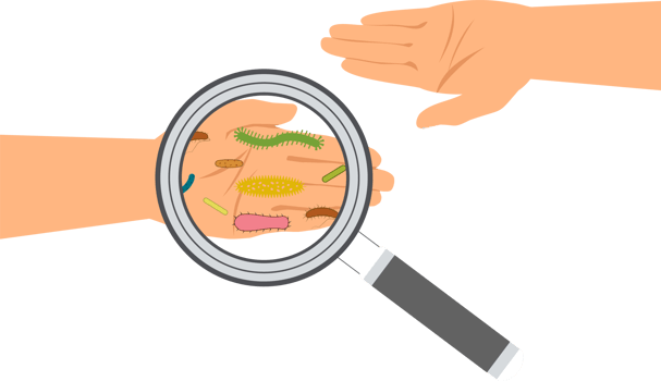Virus and germs on hand. Checking hands with a magnifying glass. Magnifier and bacterial cells on a human palm. png