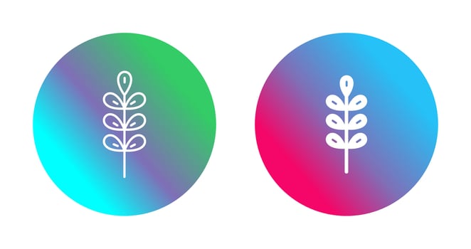 Barley Vector Icon