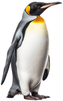 Penguin with . png
