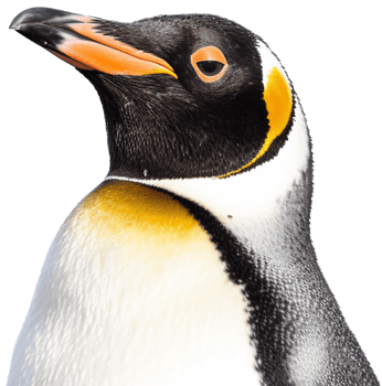 Penguin with . png