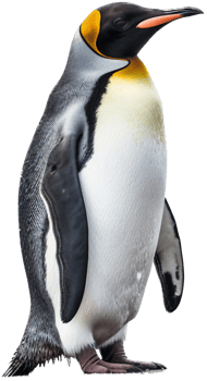 Penguin with . png