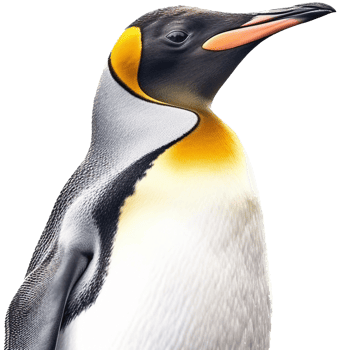 Penguin with . png