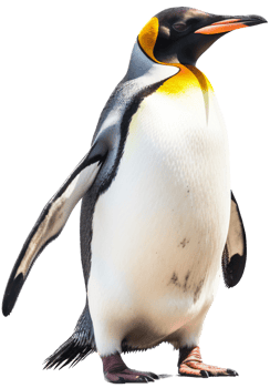 Penguin with . png