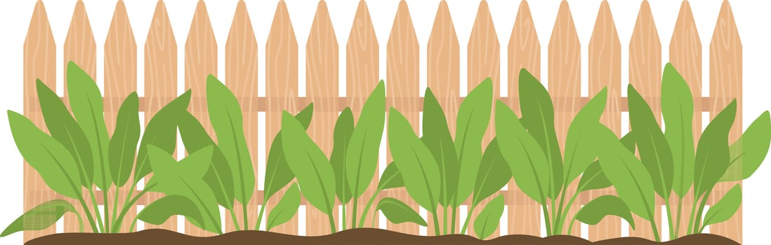 wooden fence with plants isolated icon vector illustration design vector illustration design