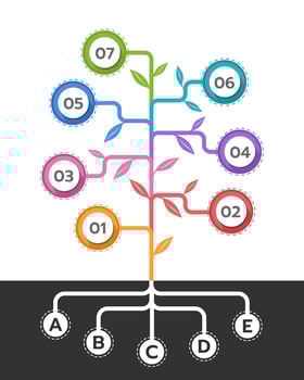 Infographic tree, 7 options from 5 initial data. Vector illustration.