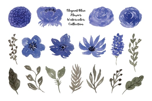 Aesthetic Blue Flower and Leaf Watercolor Collection vector