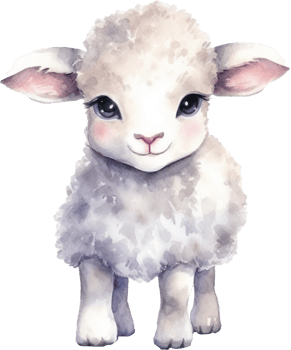 Cute Lamb Watercolor Illustration png