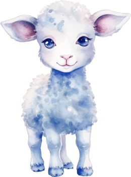 Cute Lamb Watercolor Illustration png