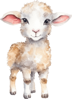 Cute Lamb Watercolor Illustration png