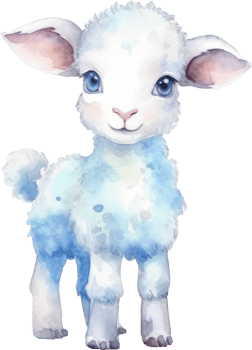 Cute Lamb Watercolor Illustration png