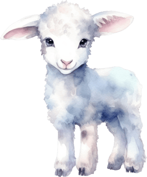 Cute Lamb Watercolor Illustration png