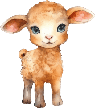 Cute Lamb Watercolor Illustration png