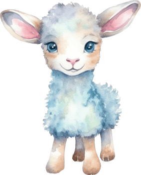 Cute Lamb Watercolor Illustration png