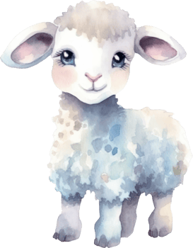 Cute Lamb Watercolor Illustration png
