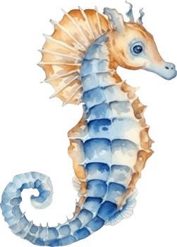 Seahorse Watercolor Illustration png