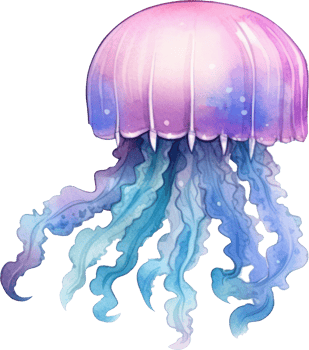 Jellyfish Watercolor Illustration png